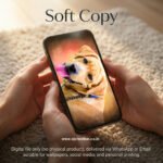 Pets Digital Painting - Image 3